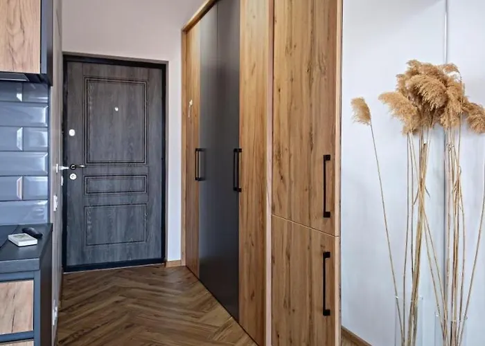 с балконом на маршала говорова Apartament