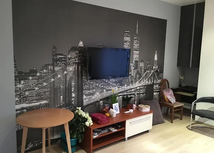 с балконом на маршала говорова Apartament *